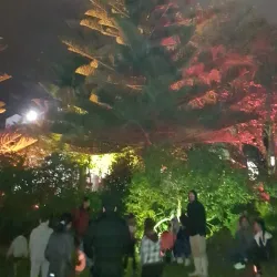 Riversdale Park - Lower Hutt