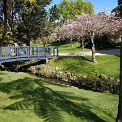 Riversdale Park - Lower Hutt