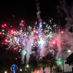 Riversdale Park - Lower Hutt