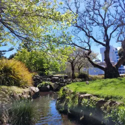 Riversdale Park - Lower Hutt