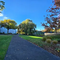 Riversdale Park - Lower Hutt