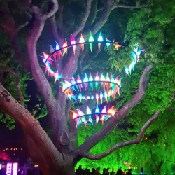 Riversdale Park - Lower Hutt