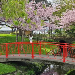 Riversdale Park - Lower Hutt