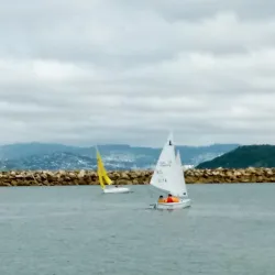 Seaview Marina - Lower Hutt