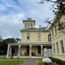 Amano Art Gallery - Manukau