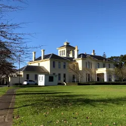 Amano Art Gallery - Manukau