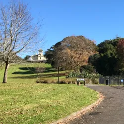 Amano Art Gallery - Manukau