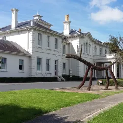 Amano Art Gallery - Manukau