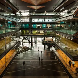 Manukau Institute of Technology (MIT) - Manukau