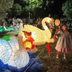 Manukau Sports Bowl - Manukau