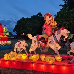 Manukau Sports Bowl - Manukau