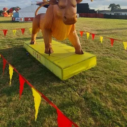 Manukau Sports Bowl - Manukau