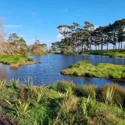 Puhinui Reserve - Manukau