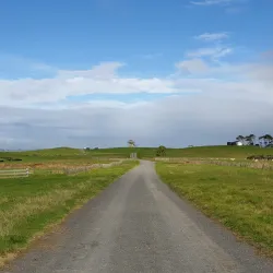 Puhinui Reserve - Manukau