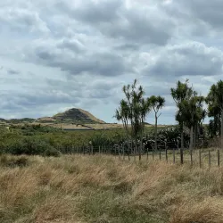 Puhinui Reserve - Manukau