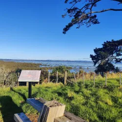 Puhinui Reserve - Manukau