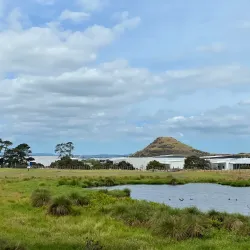 Puhinui Reserve - Manukau