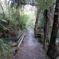 Totara Park - Manukau