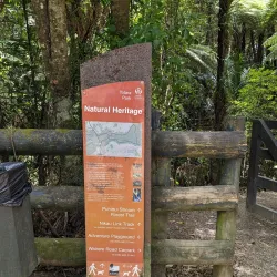 Totara Park - Manukau