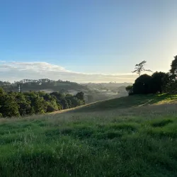 Totara Park - Manukau