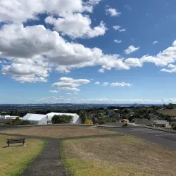 Totara Park - Manukau