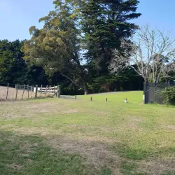Totara Park - Manukau