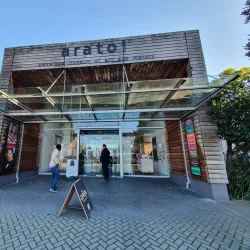 Aratoi Wairarapa Museum of Art and History - Masterton