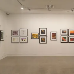 Aratoi Wairarapa Museum of Art and History - Masterton