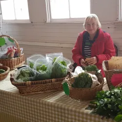 Masterton Farmers Market - Masterton