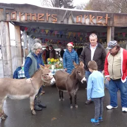 Masterton Farmers Market - Masterton