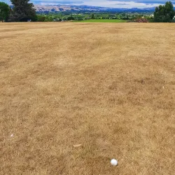 Masterton Golf Club - Masterton