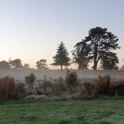 Masterton Golf Club - Masterton