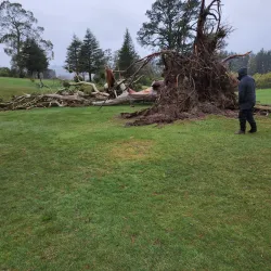 Masterton Golf Club - Masterton