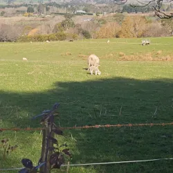 Masterton Golf Club - Masterton