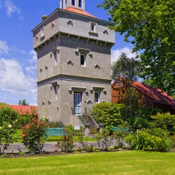 Firth Tower Museum - Matamata