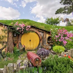 Hobbiton Movie Set - Matamata