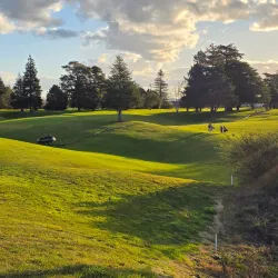 Matamata Golf Club - Matamata