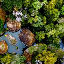 Wairere Boulders - Matamata