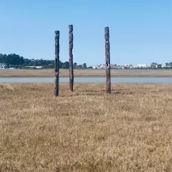 Ahuriri Estuary Walkway - Napier