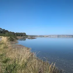 Ahuriri Estuary Walkway - Napier