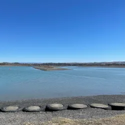 Ahuriri Estuary Walkway - Napier