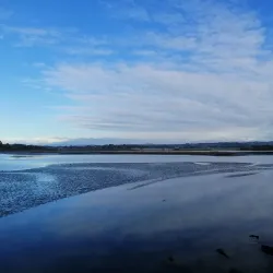 Ahuriri Estuary Walkway - Napier