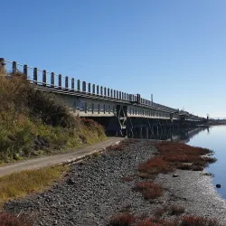 Ahuriri Estuary Walkway - Napier