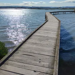 Ahuriri Estuary Walkway - Napier