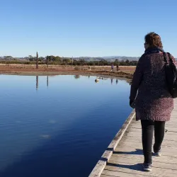 Ahuriri Estuary Walkway - Napier