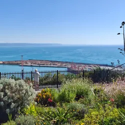 Bluff Hill Lookout - Napier