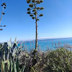 Bluff Hill Lookout - Napier