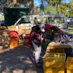 Hawke’s Bay Farmers' Market - Napier
