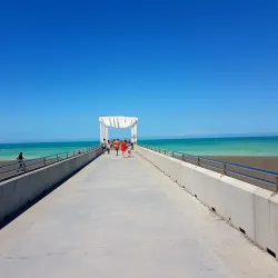 Marine Parade - Napier