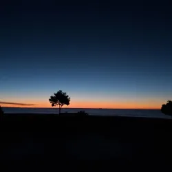 Marine Parade - Napier